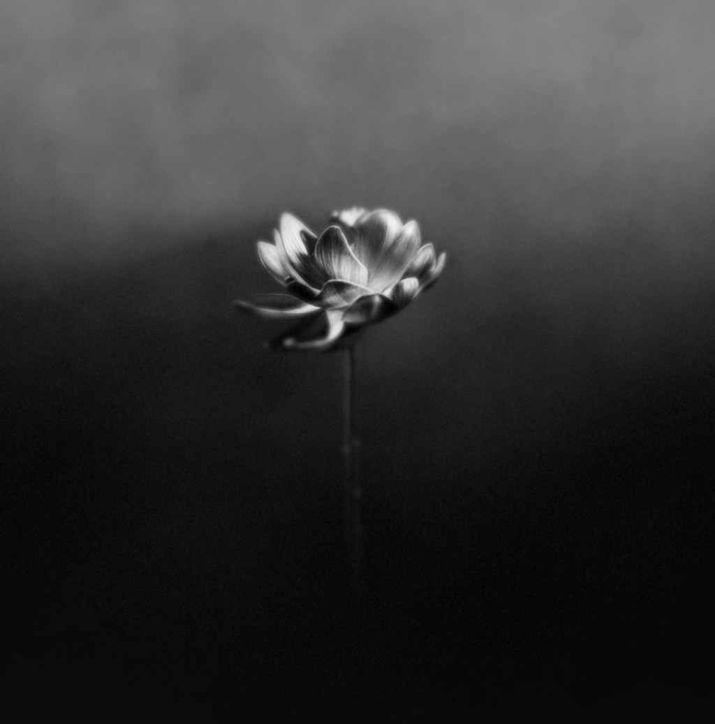 Beyond The Mainstreams Review of Little Simz –&nbsp;“Free”