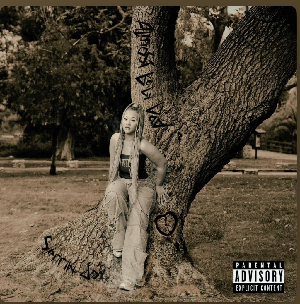 Beyond The Mainstreams Review of “almost baby dad” by Serrin&nbsp;Joy